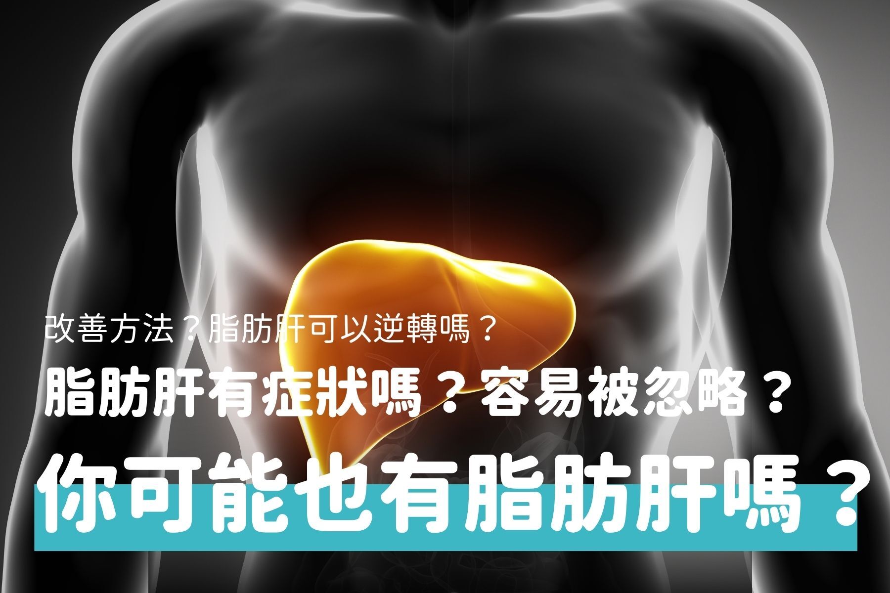 脂肪肝是什麼？原因、症狀與改善方法一次看懂