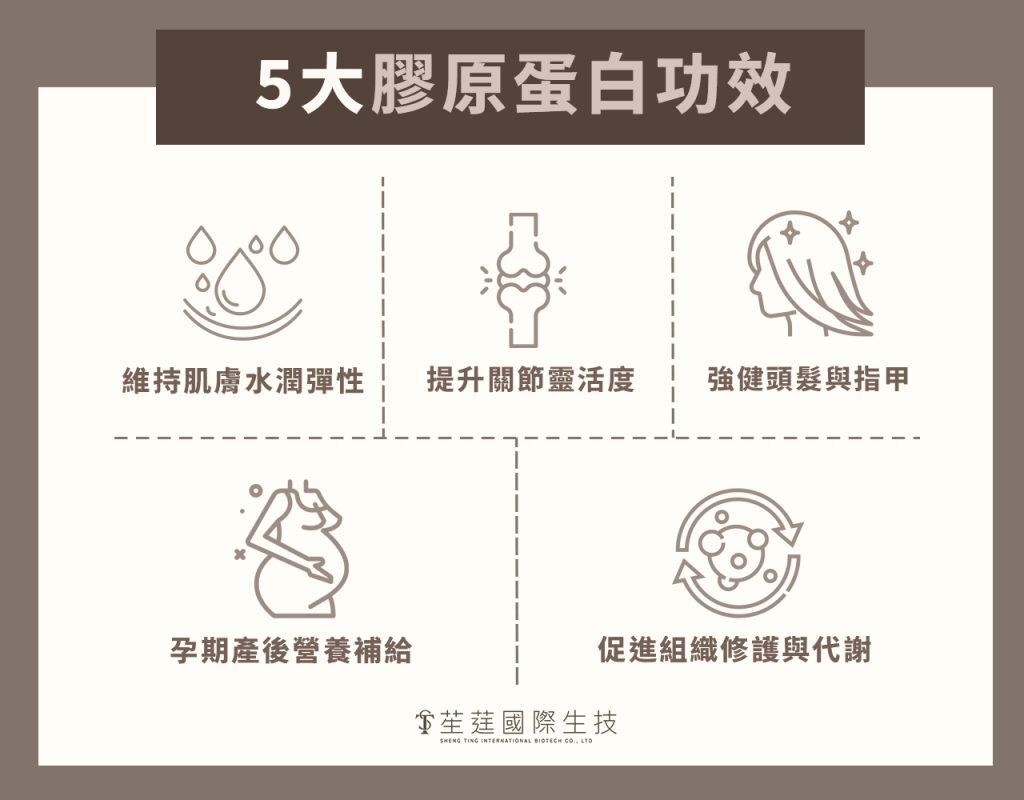5大膠原蛋白功效