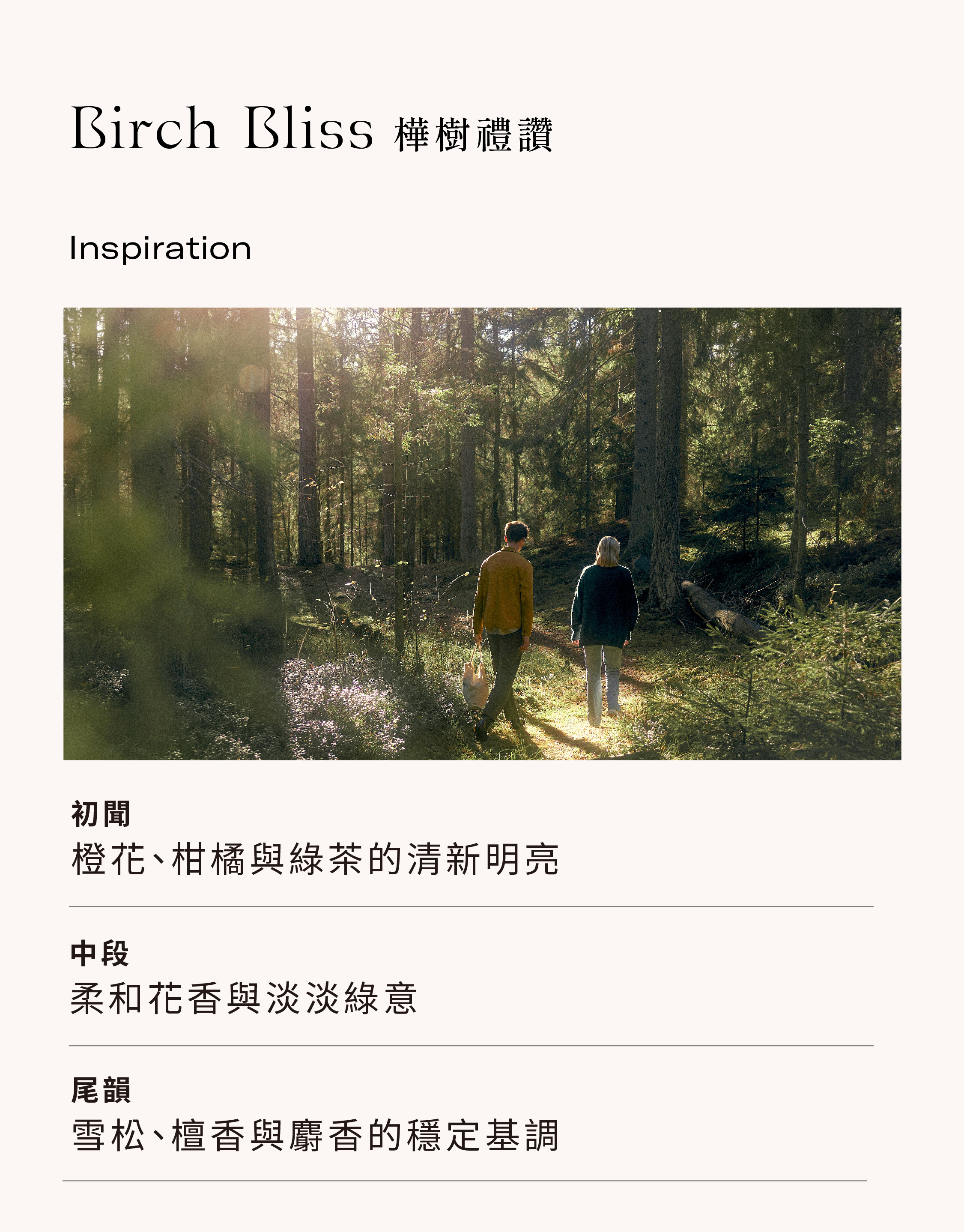 Birch Bliss 樺樹禮讚淡香精50ml - 柑橘木質調｜VANA北歐香氛