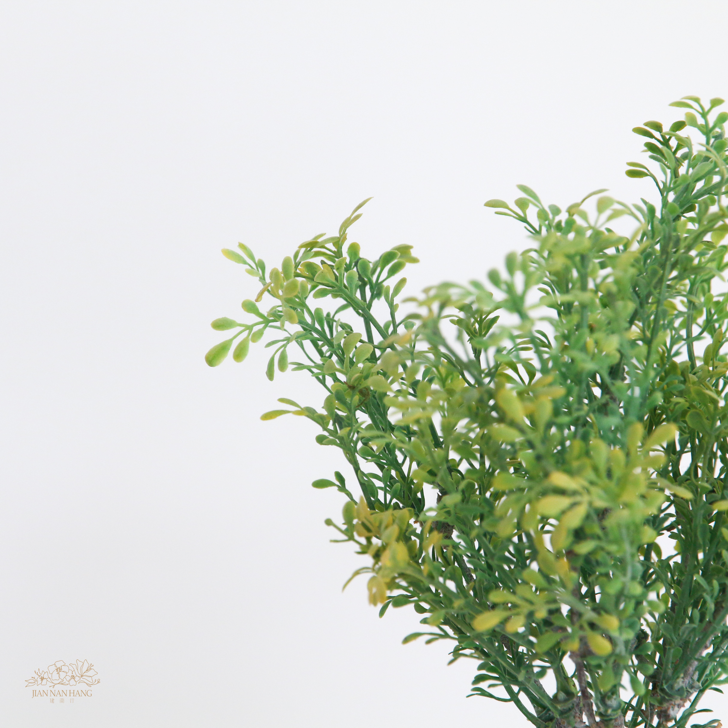 擬真樹 綠葉小型盆栽 高32cm