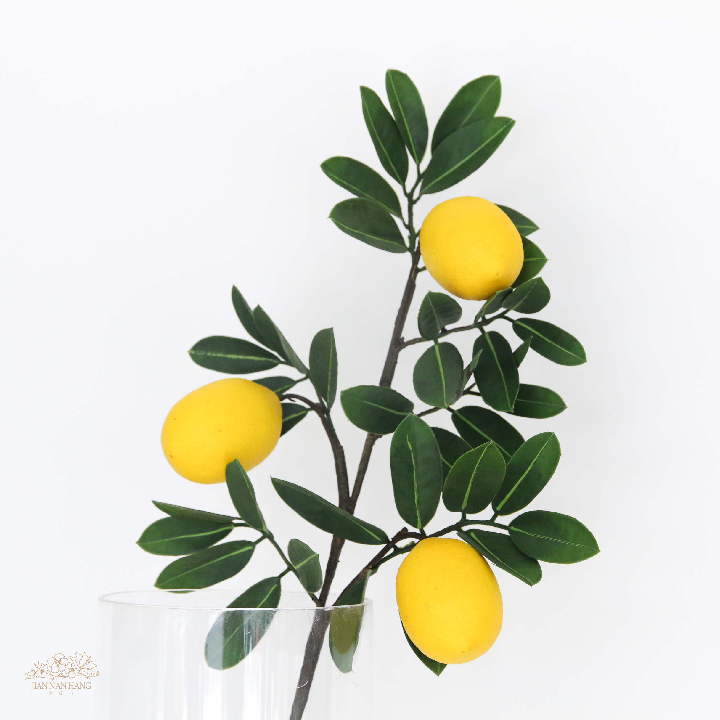 人造果 檸檬枝