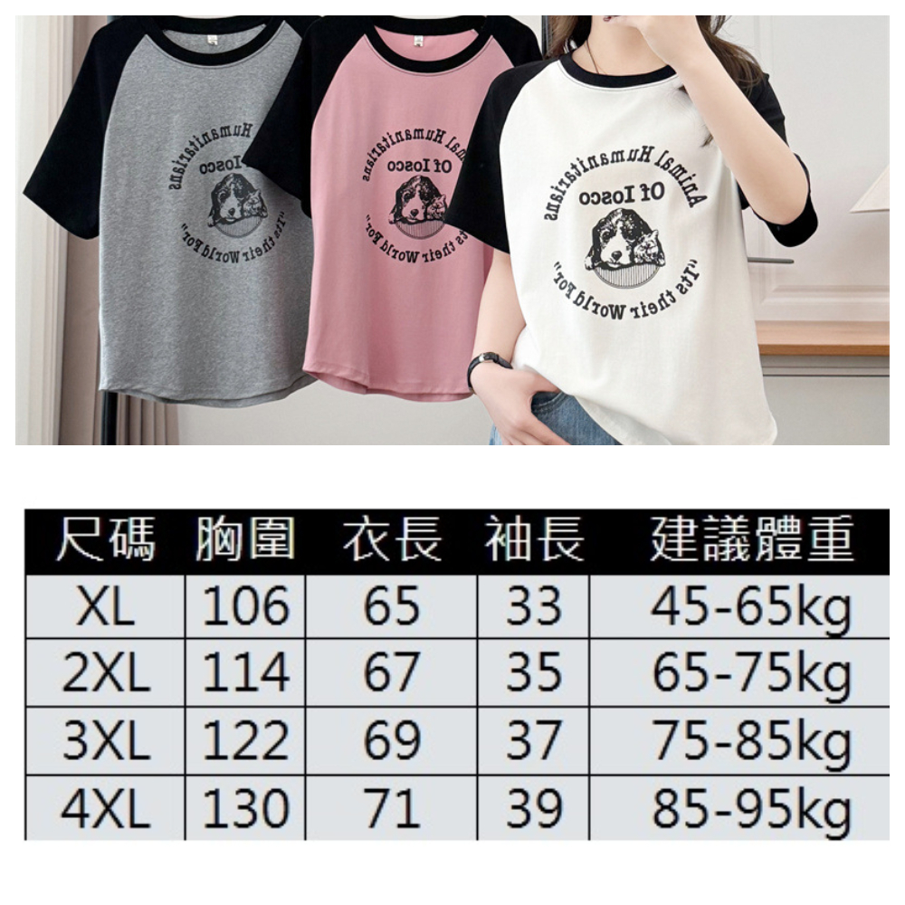 【ASister 小姊姊】AS2418#女裝｜上衣☆Plus+中大尺碼*撞色領袖狗狗*T恤(3色 XL-4XL)