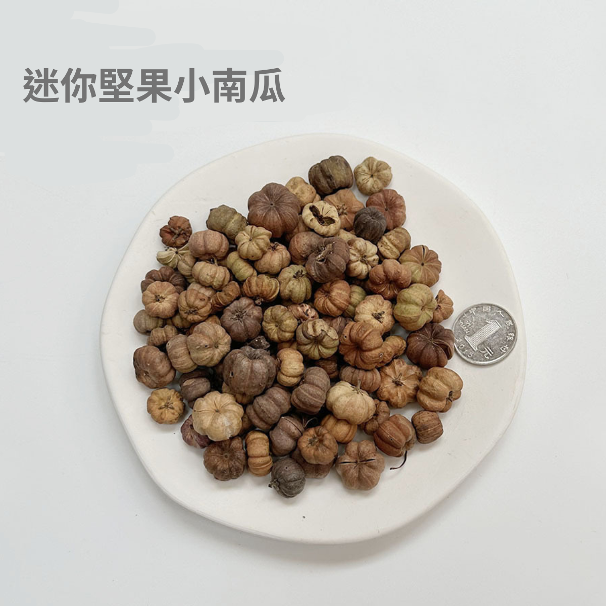 【台灣現貨速發】乾果零售  乾燥果實 小南瓜 紅木片｜ 乾燥材料 DIY材料 裝飾