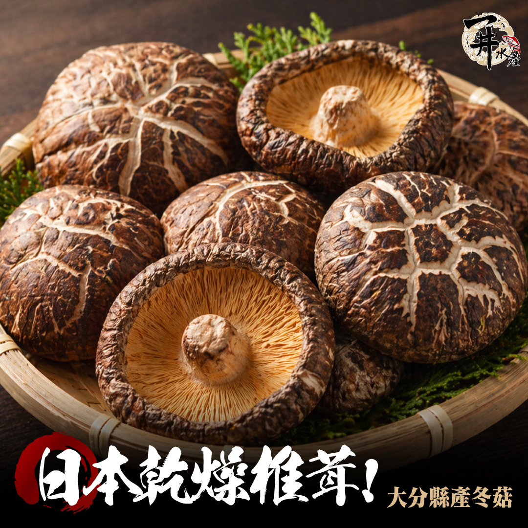 日本大分縣 乾燥冬菇（椎茸どんこ）