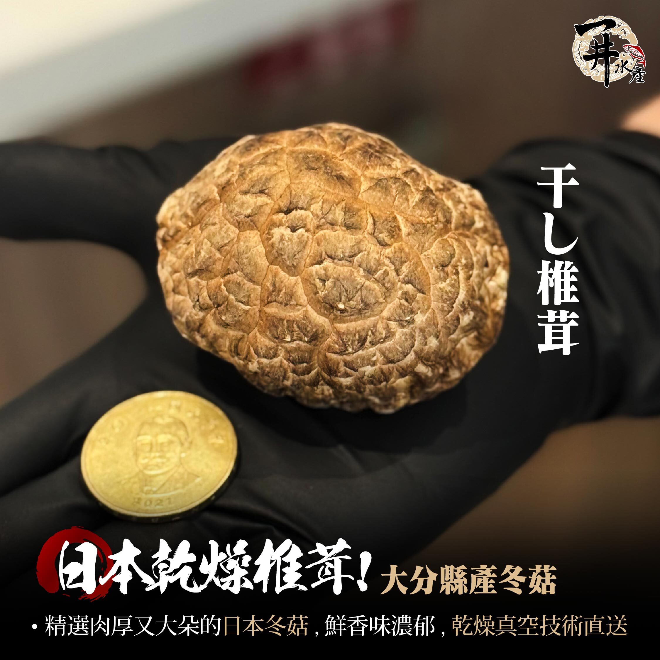 日本大分縣 乾燥冬菇（椎茸どんこ）