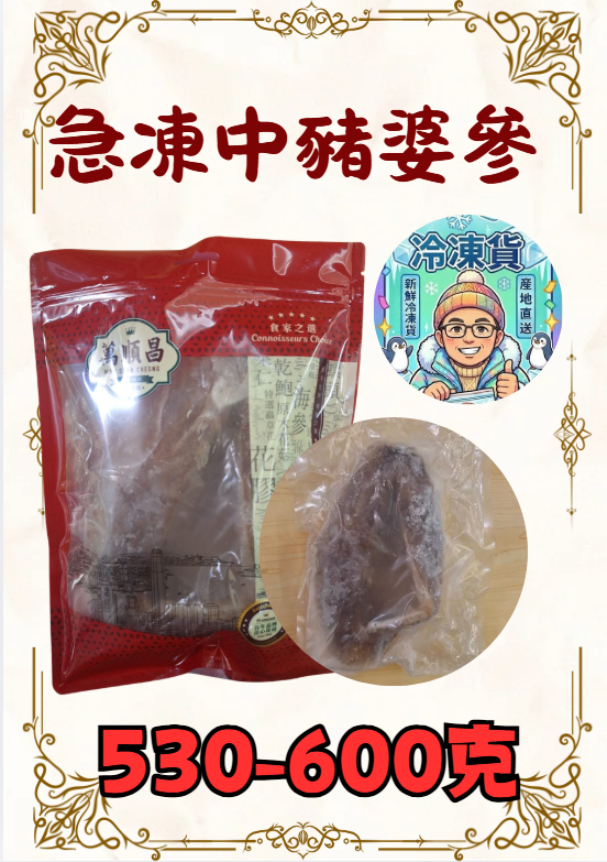 急凍中豬婆參 500+克