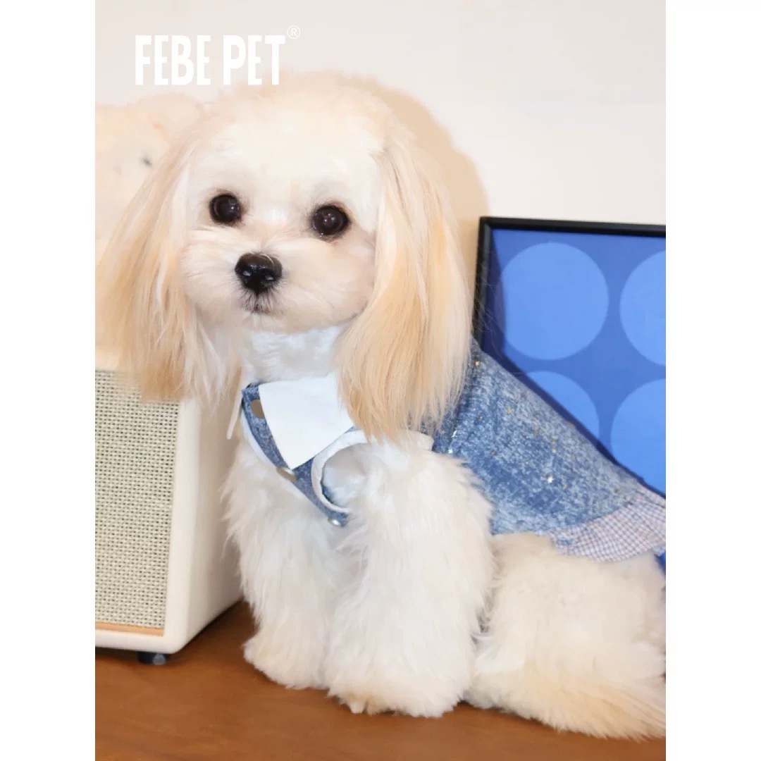 FEBEPET星芒牛仔背心