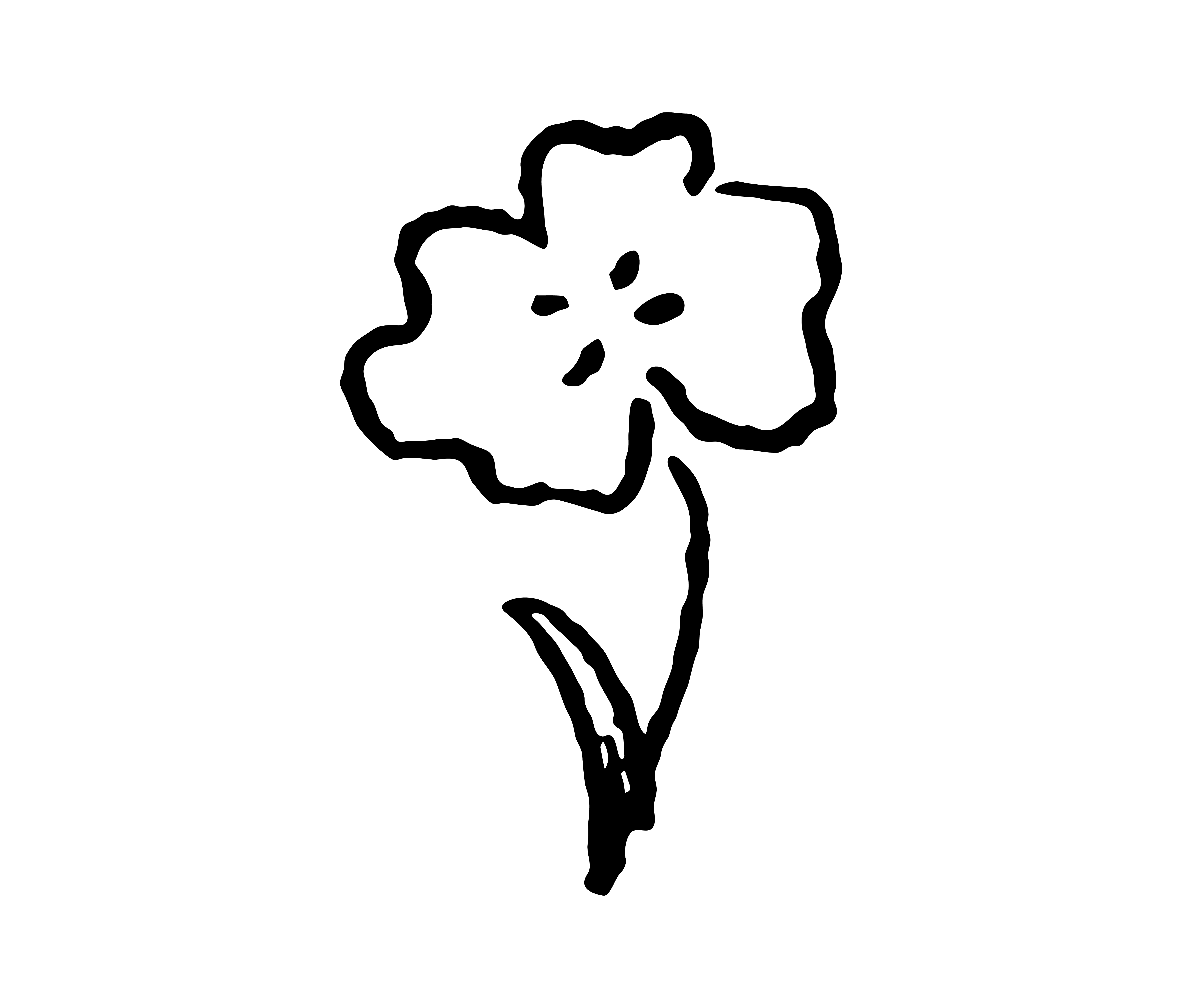岩玫瑰