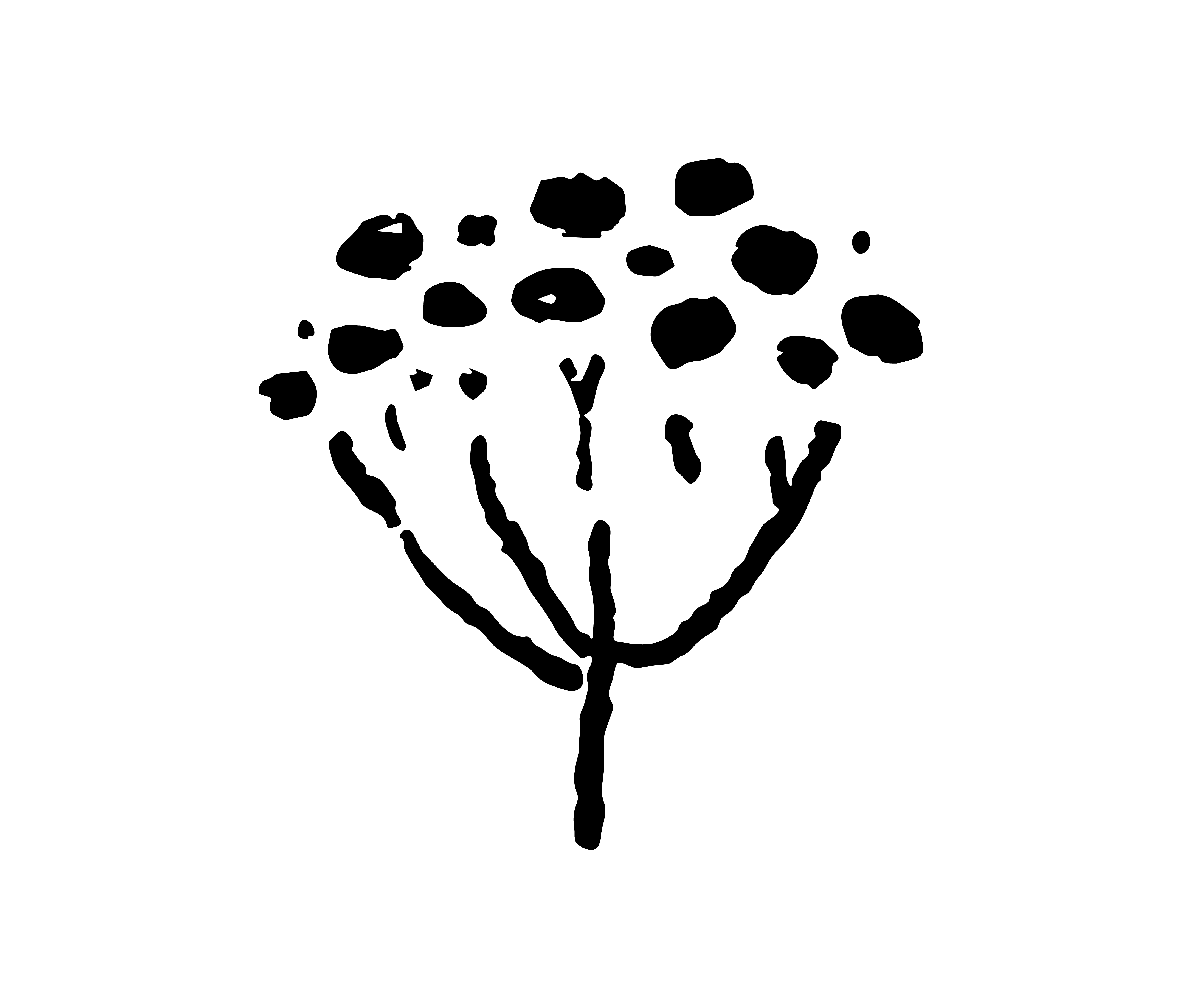 義大利永久花