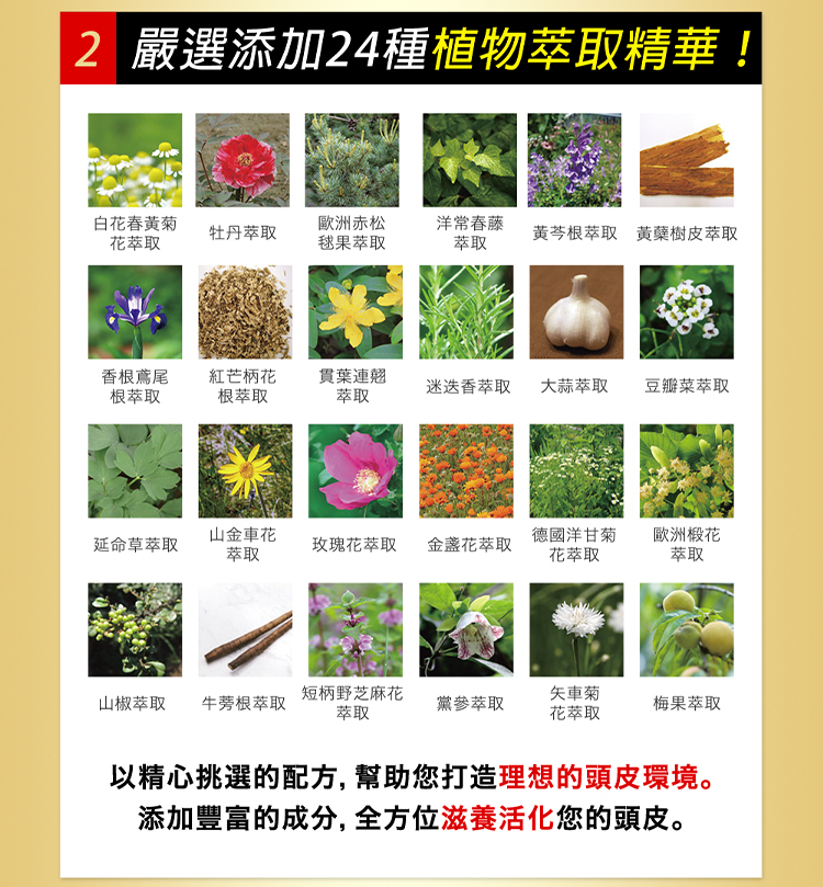 展示產品嚴選添加的 24 種植物萃取精華成分表。