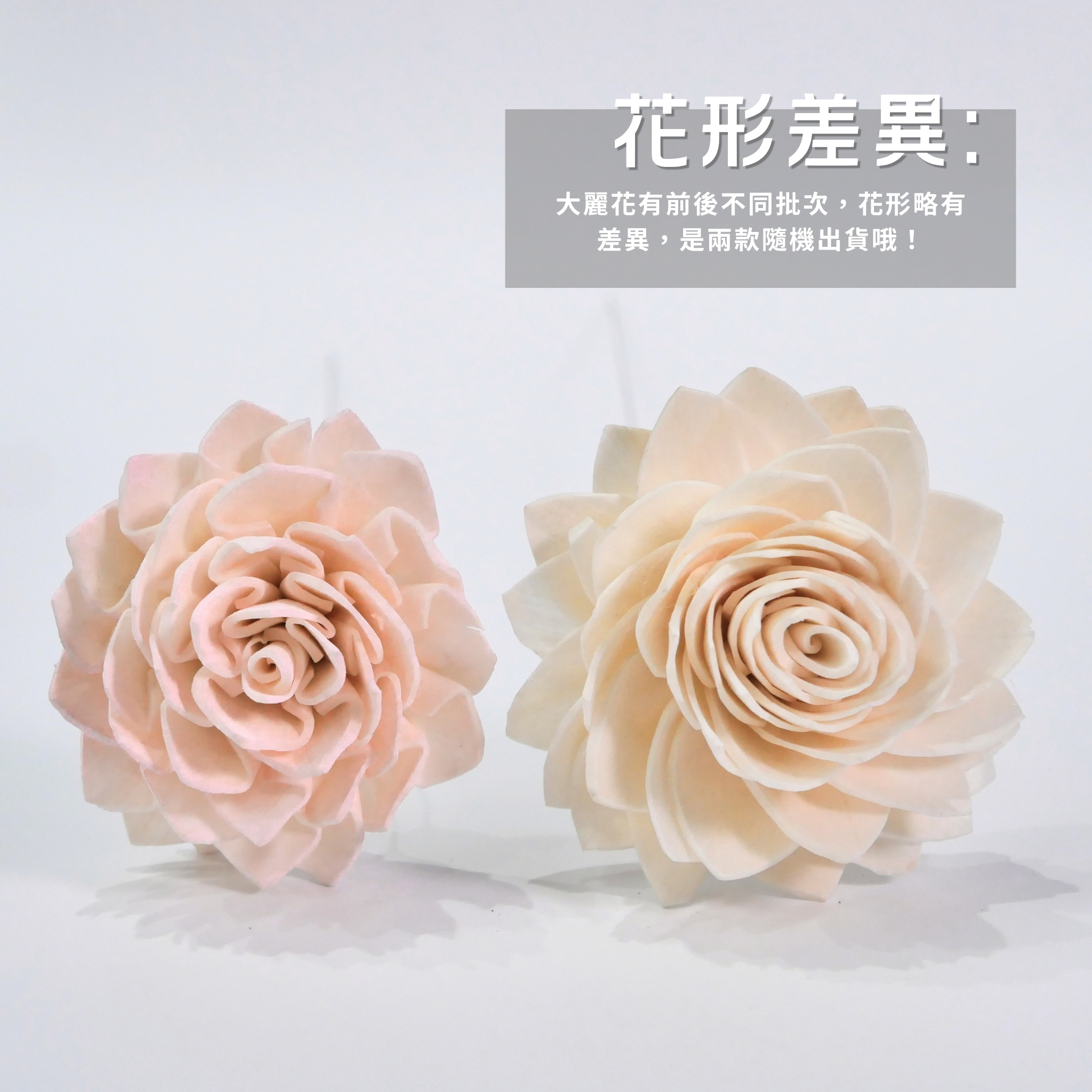 【台灣現貨速發】噴色渲染索拉花 ｜香薫玫瑰 大麗花 太陽花｜人造花 仿真花 索拉花
