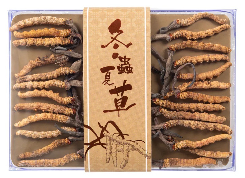 YQ028 官燕棧 野生珍品蟲草(18-26條/3.5克/盒) EXP: 1年或以上