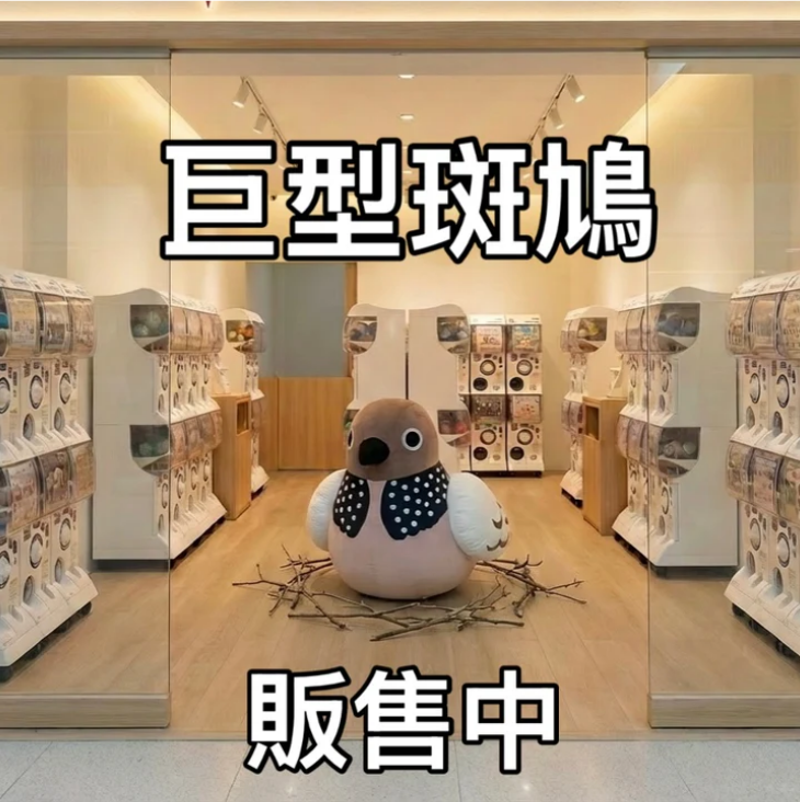 30cm+巨型珠頸斑鳩（發聲公仔！