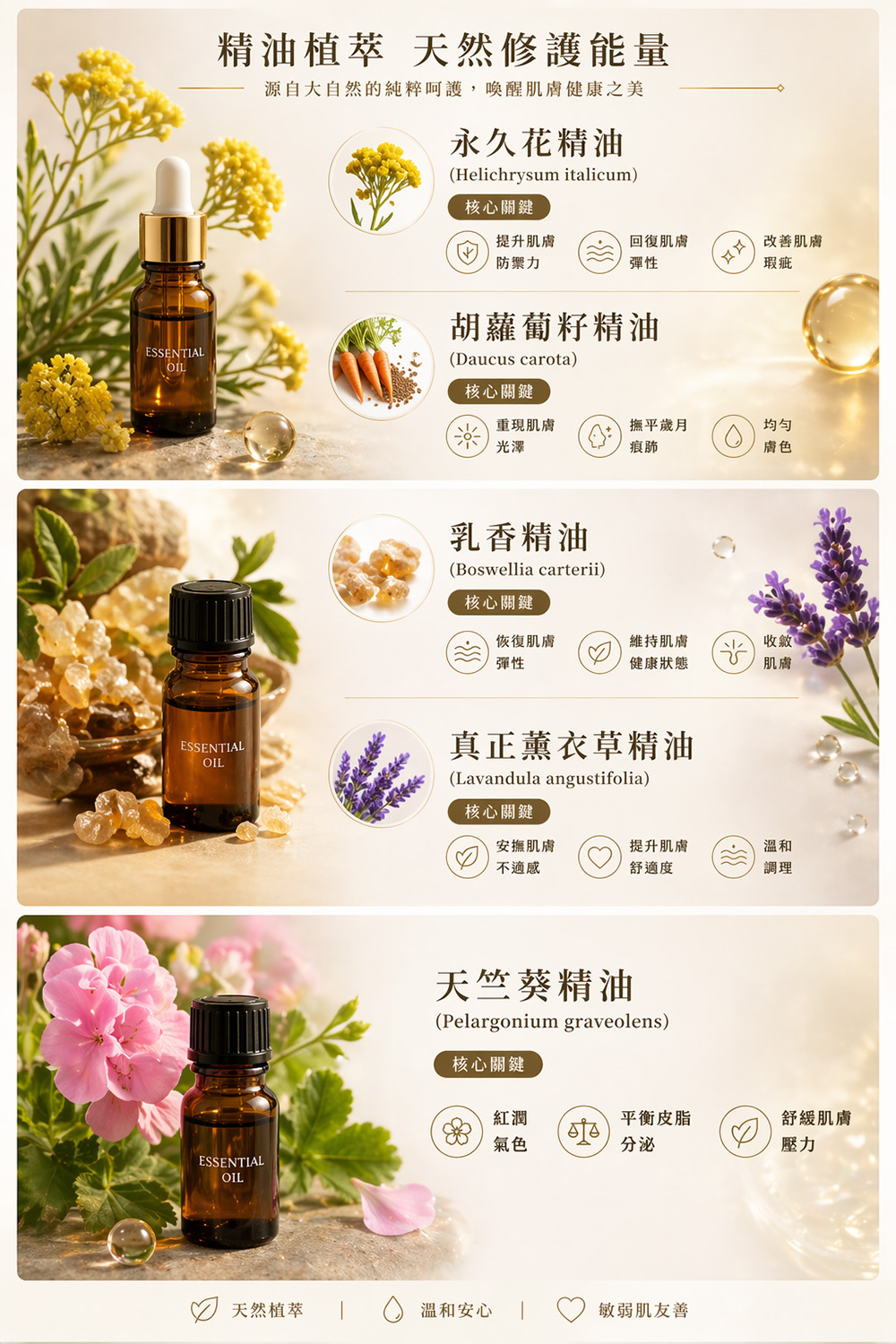 ZOEY 特調全能修復金萃油 使用說明圖
