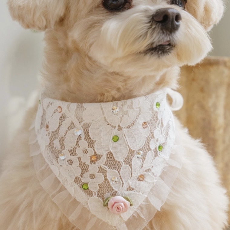 配件-Twinkle閃耀浪漫頭巾領巾 糖霜粉彩sugar pop -its