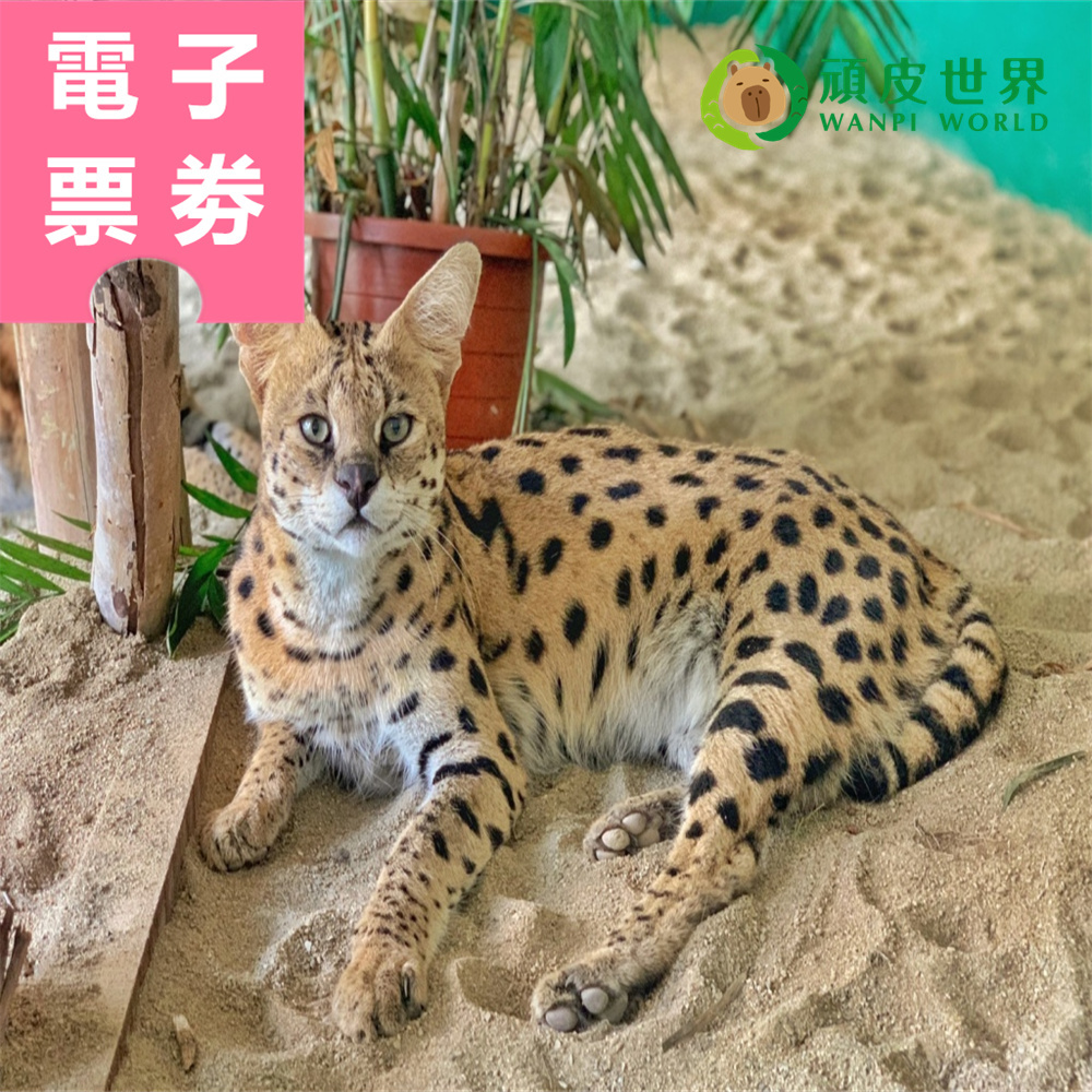 【電子票劵】台南｜頑皮世界野生動物園 平日門票 Ⓕ