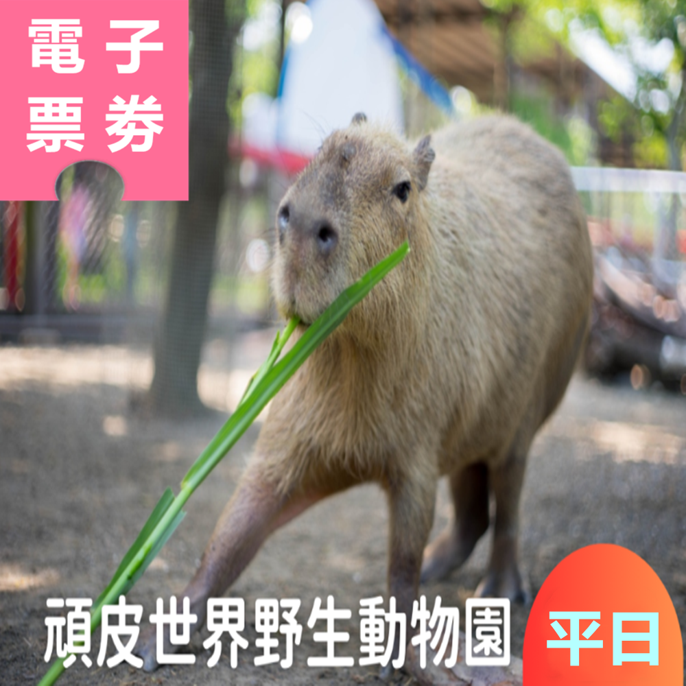 【電子票劵】台南｜頑皮世界野生動物園 平日門票 Ⓕ