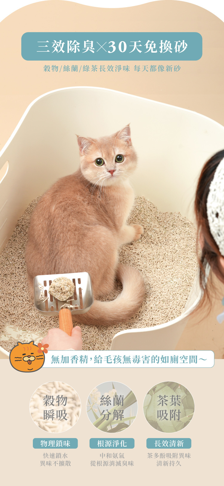 30天免換砂穀物絲蘭茶葉木薯豆腐砂