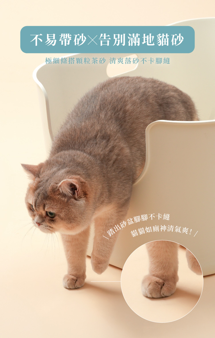 不易帶砂告別滿地貓砂清爽不落砂