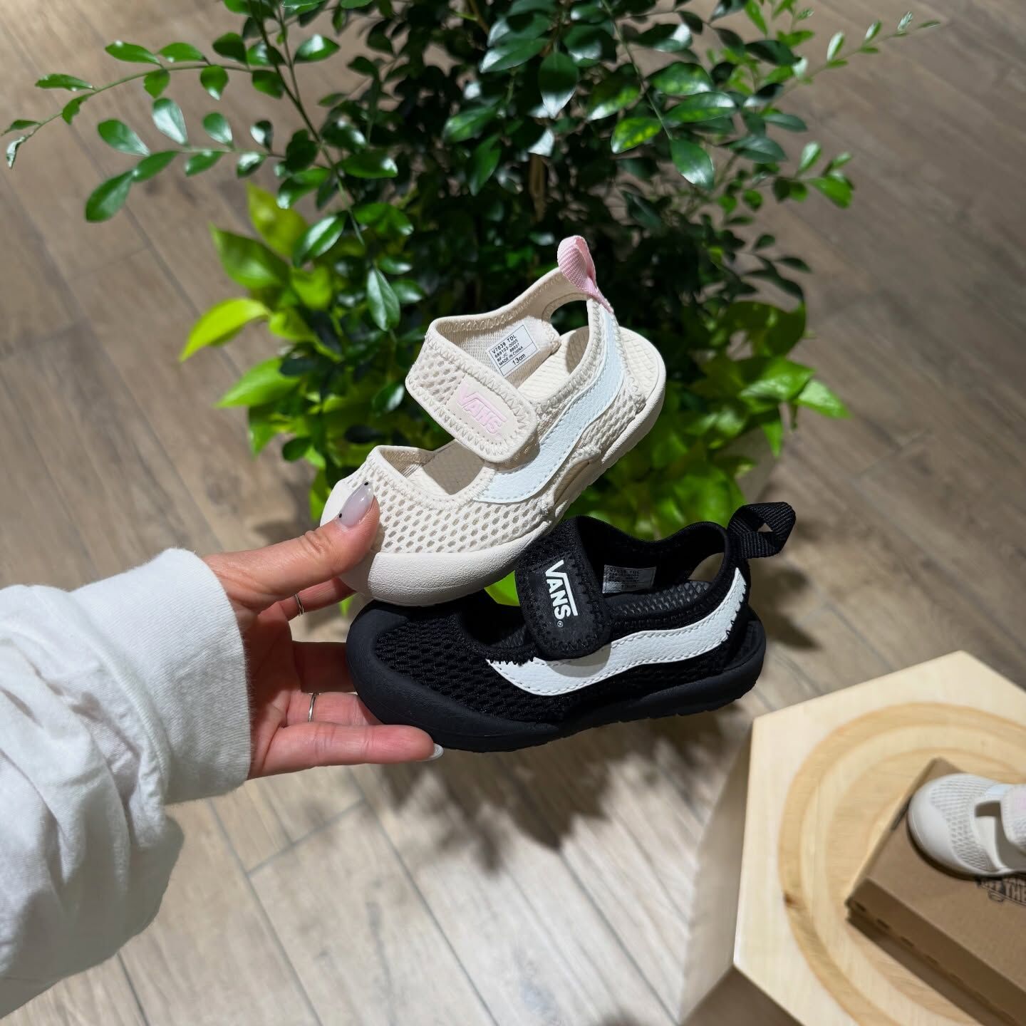 Vans Ray Aqua 日本新款 3色 瑪莉珍 黑色 湖水綠 奶油白 魔鬼氈 涼鞋 小童 童鞋 V7039TDL