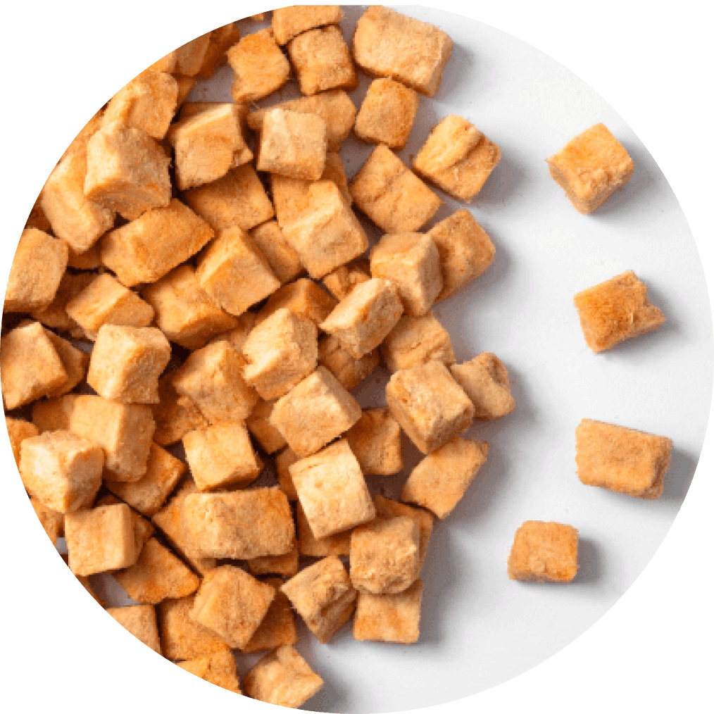 Cherie 法麗 - 100%原肉凍乾小食系列 - 三文魚 (粉紅) 25g