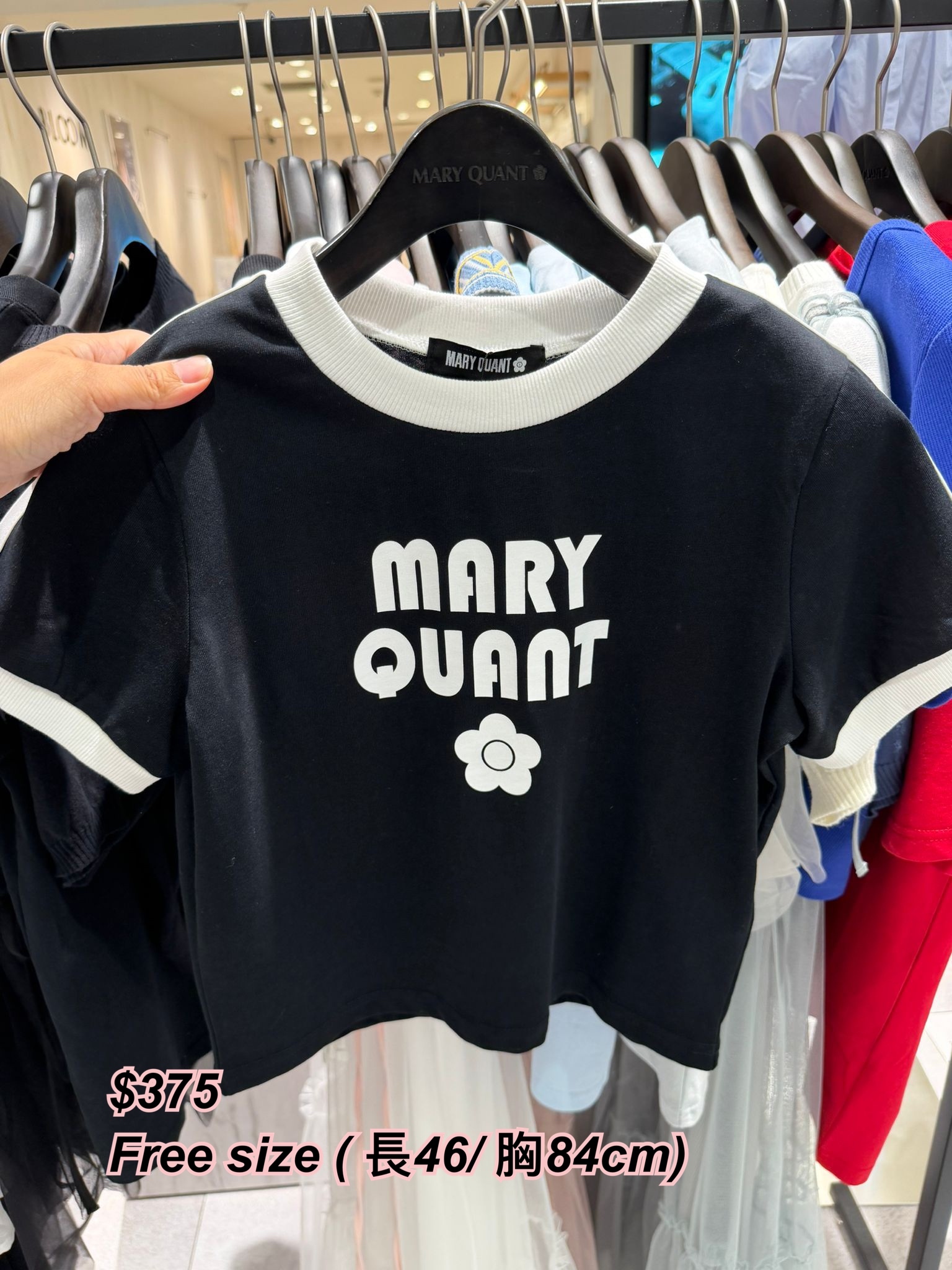 260424 Mary Quant 圍邊中間字+ 花logo 短身Tee / 4 色