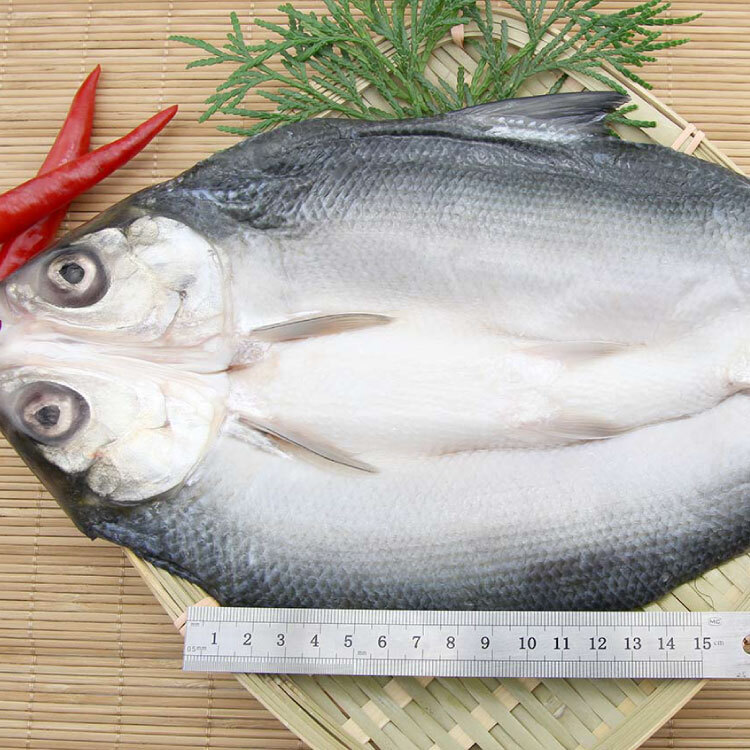 虱目魚又有「牛奶魚」之稱