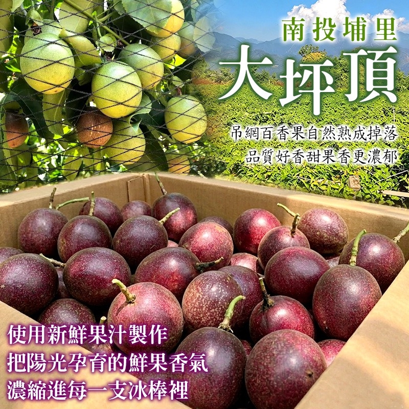 WSBB11307  南投埔里大坪頂小農💛百香果冰棒❄️(85g*12支/包)（7月上旬）