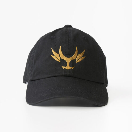 248412 Pbandai 預訂 2026/6月 仮面ライダーアギト　刺繍　キャップ