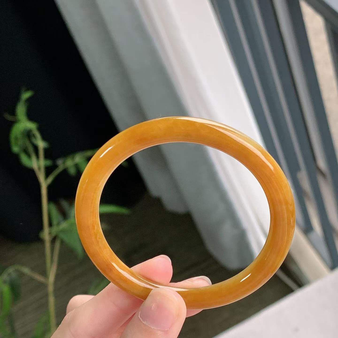 4175655 53.2mm黃翡翡翠圓條手鐲 (52-54)