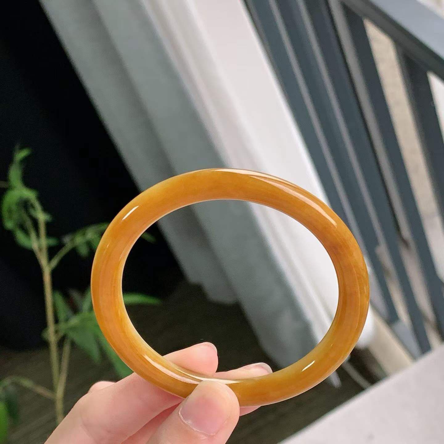 黃翡翡翠圓條手鐲,天然翡翠A玉, 緬甸玉, Jade, Jadeite