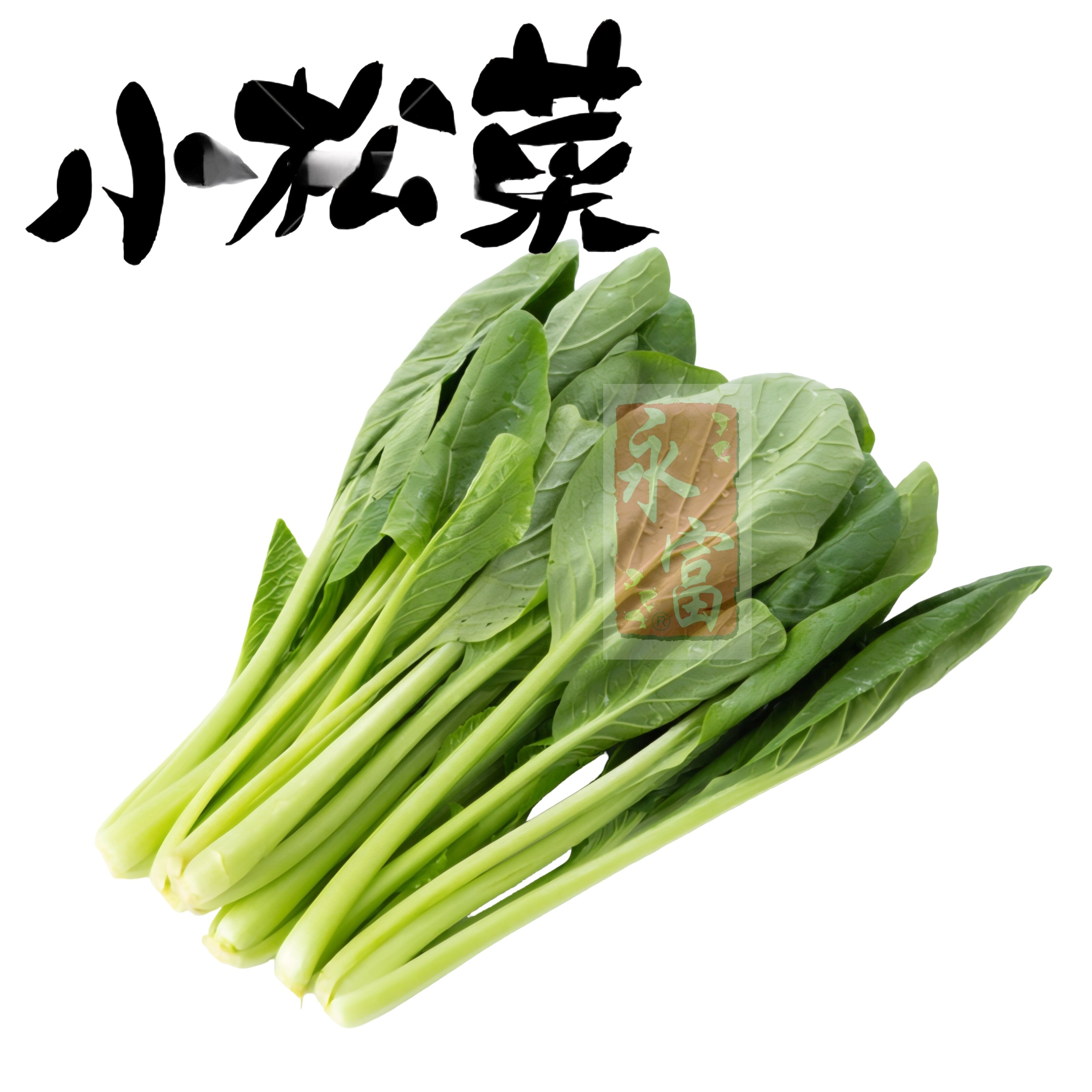 日本小松菜(600G)-1包
