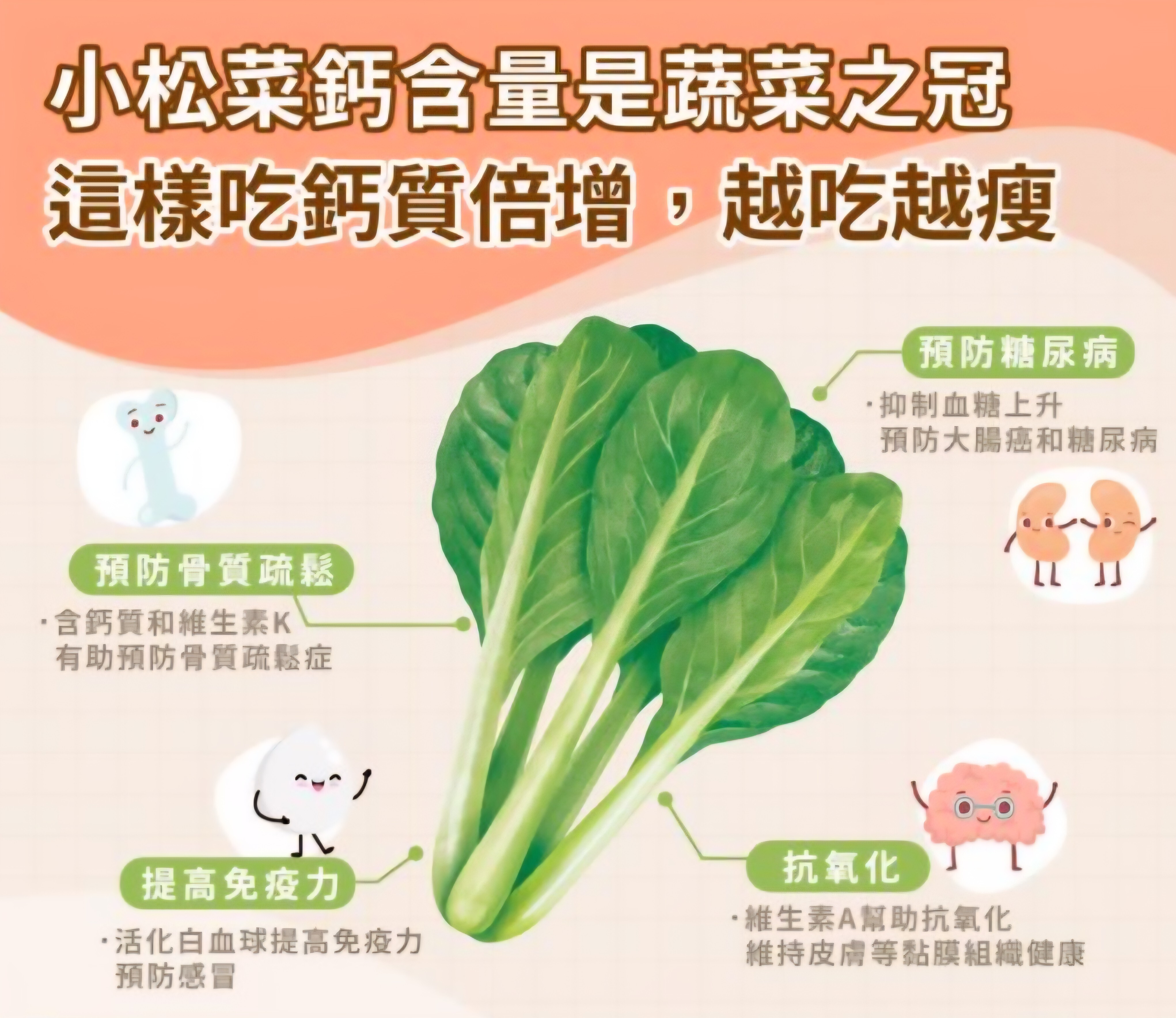 日本小松菜(600G)-1包