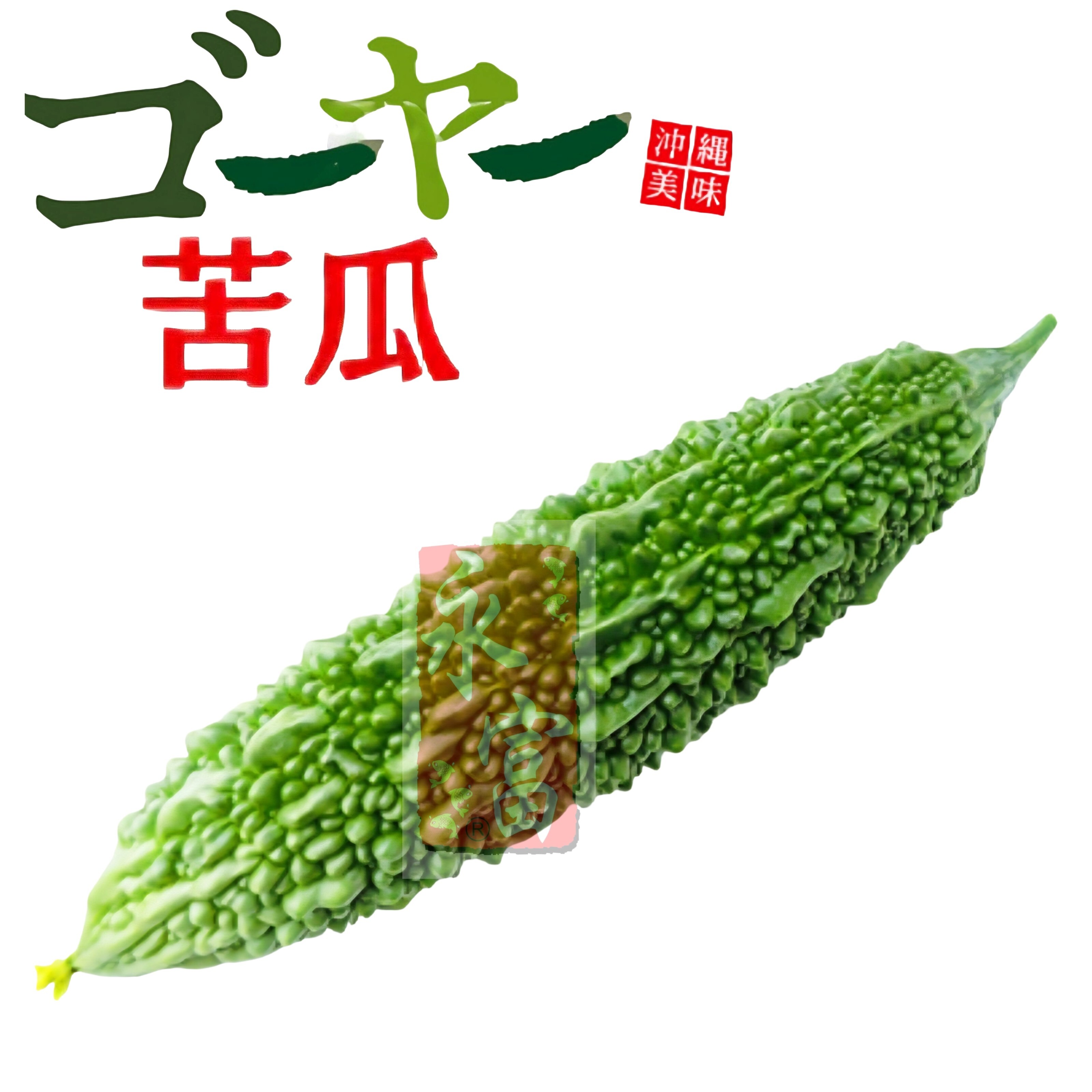日本沖繩苦瓜-1個
