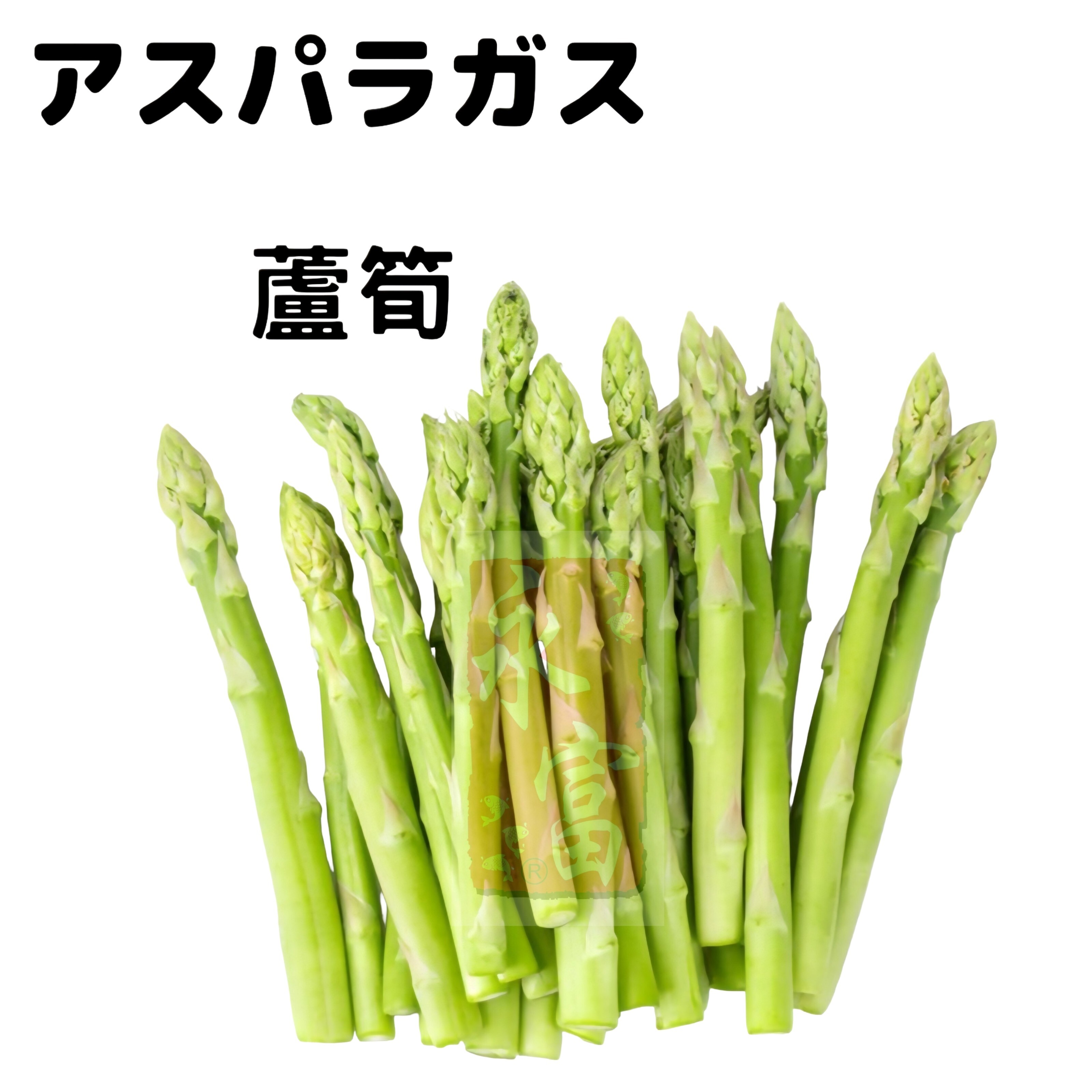 日本蘆筍(500G)-1包