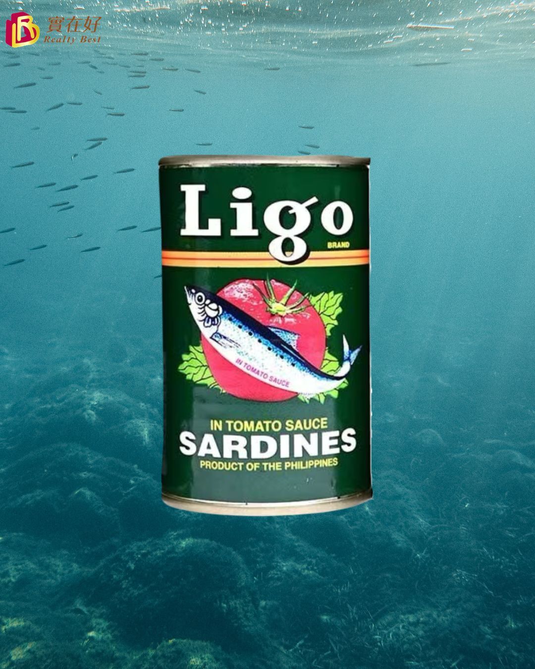 Ligo 力高沙甸魚 155g