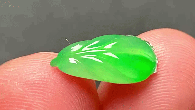 41746 翡翠冰陽綠樹葉