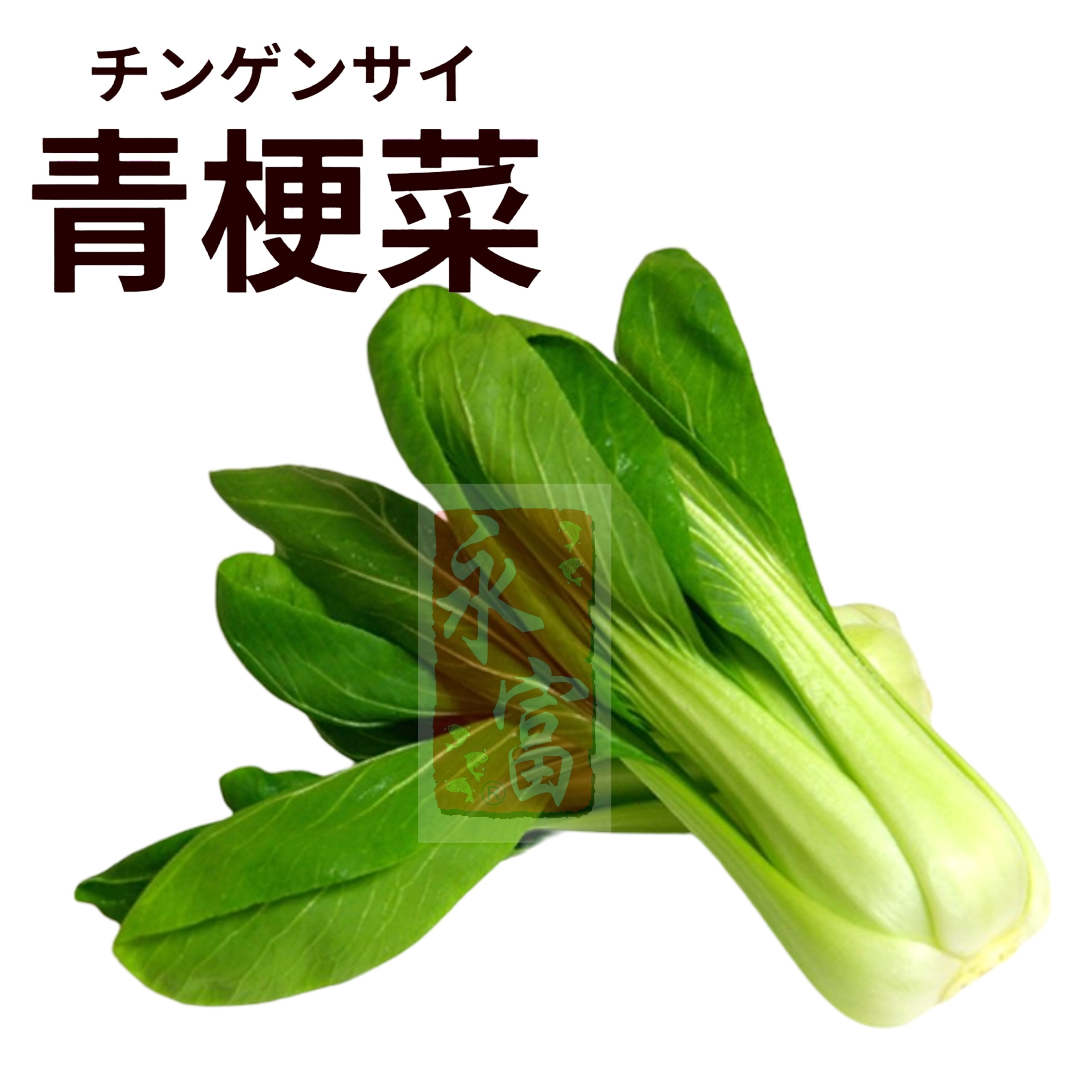 日本青梗菜(小唐菜)(200G)-1包