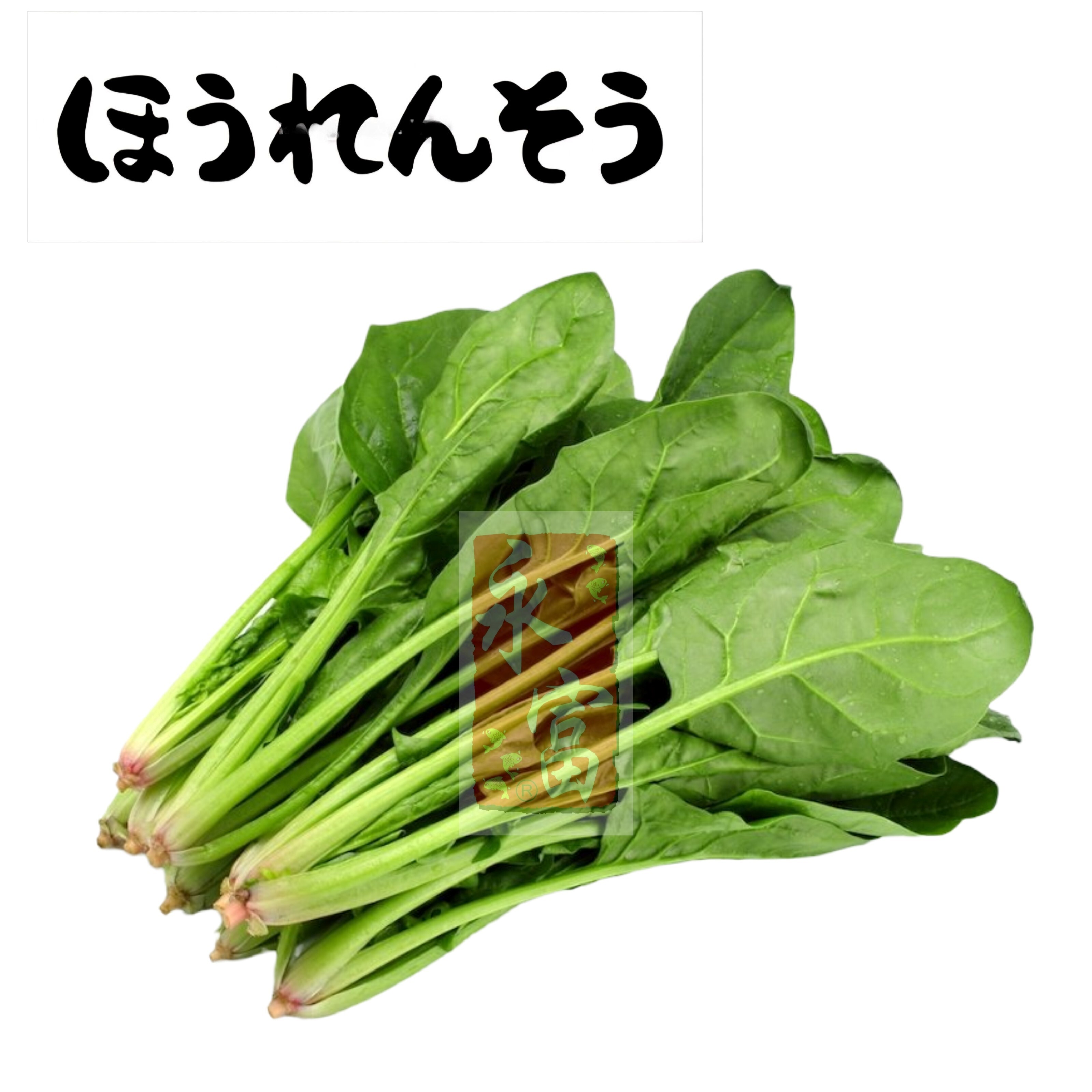 日本菠菜(300G)-1包