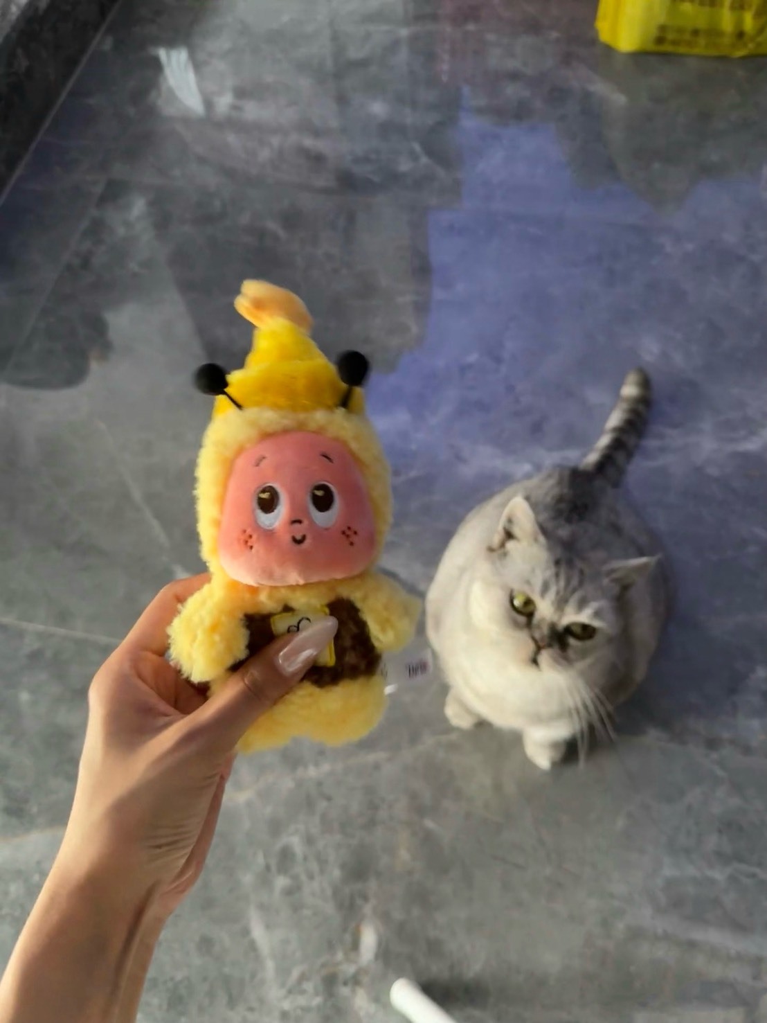 【預購】POPMART 泡泡瑪特 歡迎來到月球表面系列 星星人 毛絨吊飾 掛件 牛奶 蜜蜂