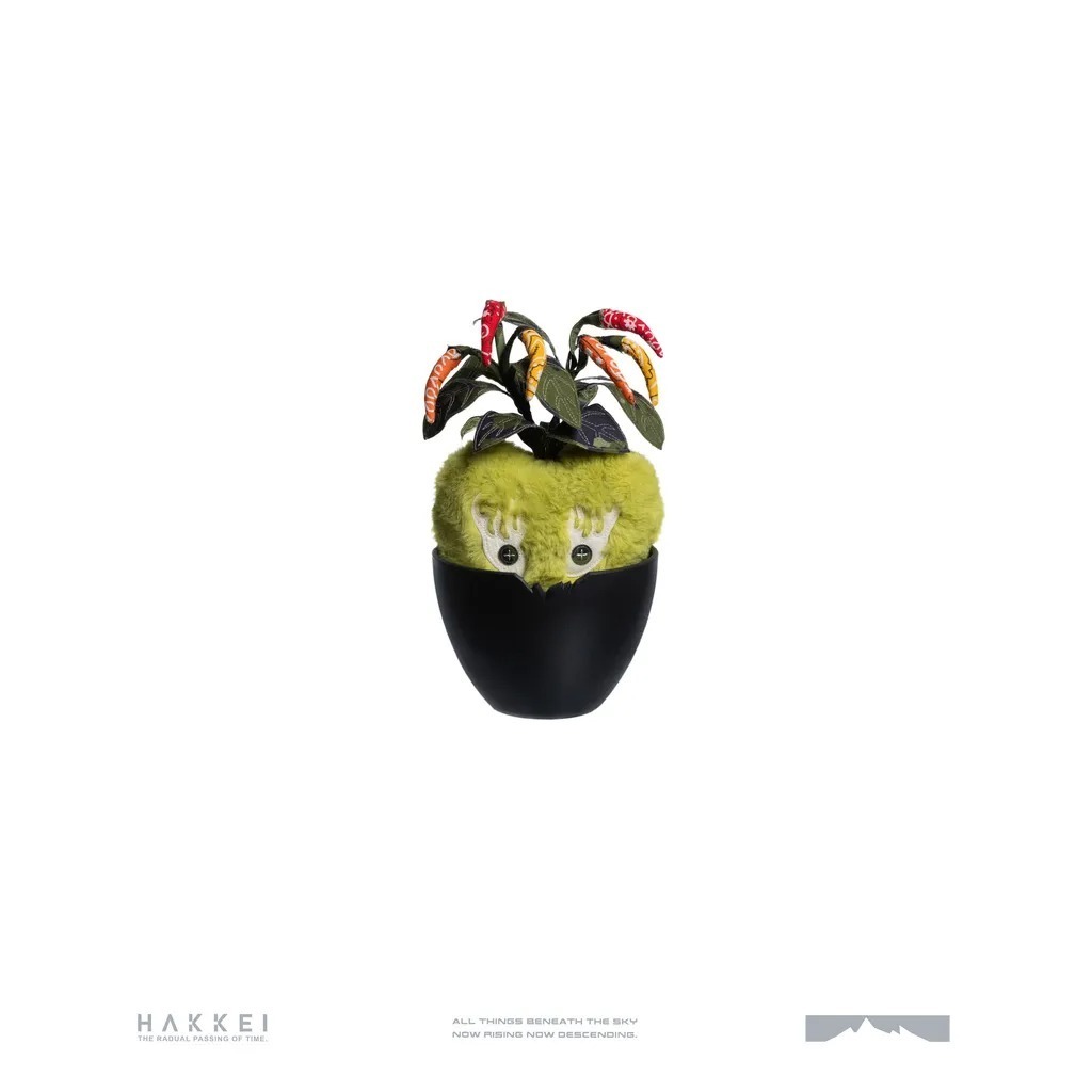 HAKKEI｜辣椒愛豆