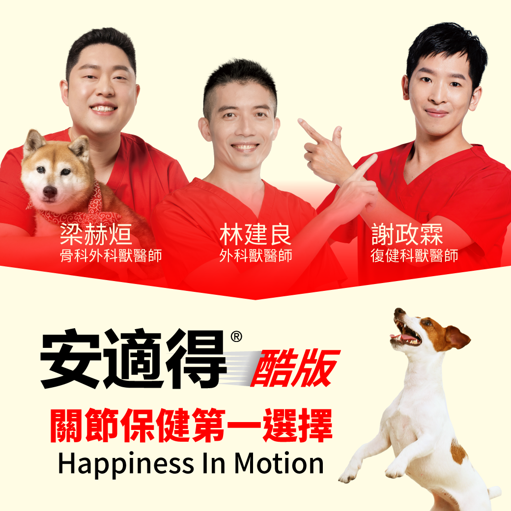 安適得 獸醫師推薦寵物保健食品 綠唇貝