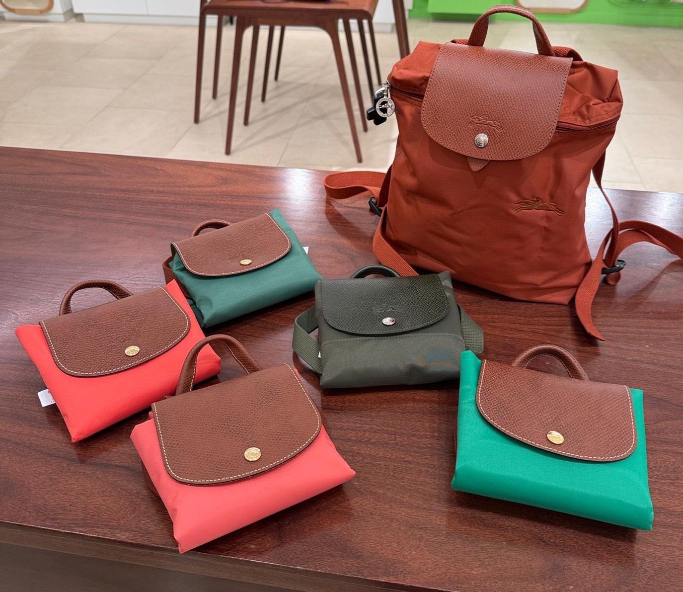 限量接單⚠️停產款｜LONGCHAMP backpack