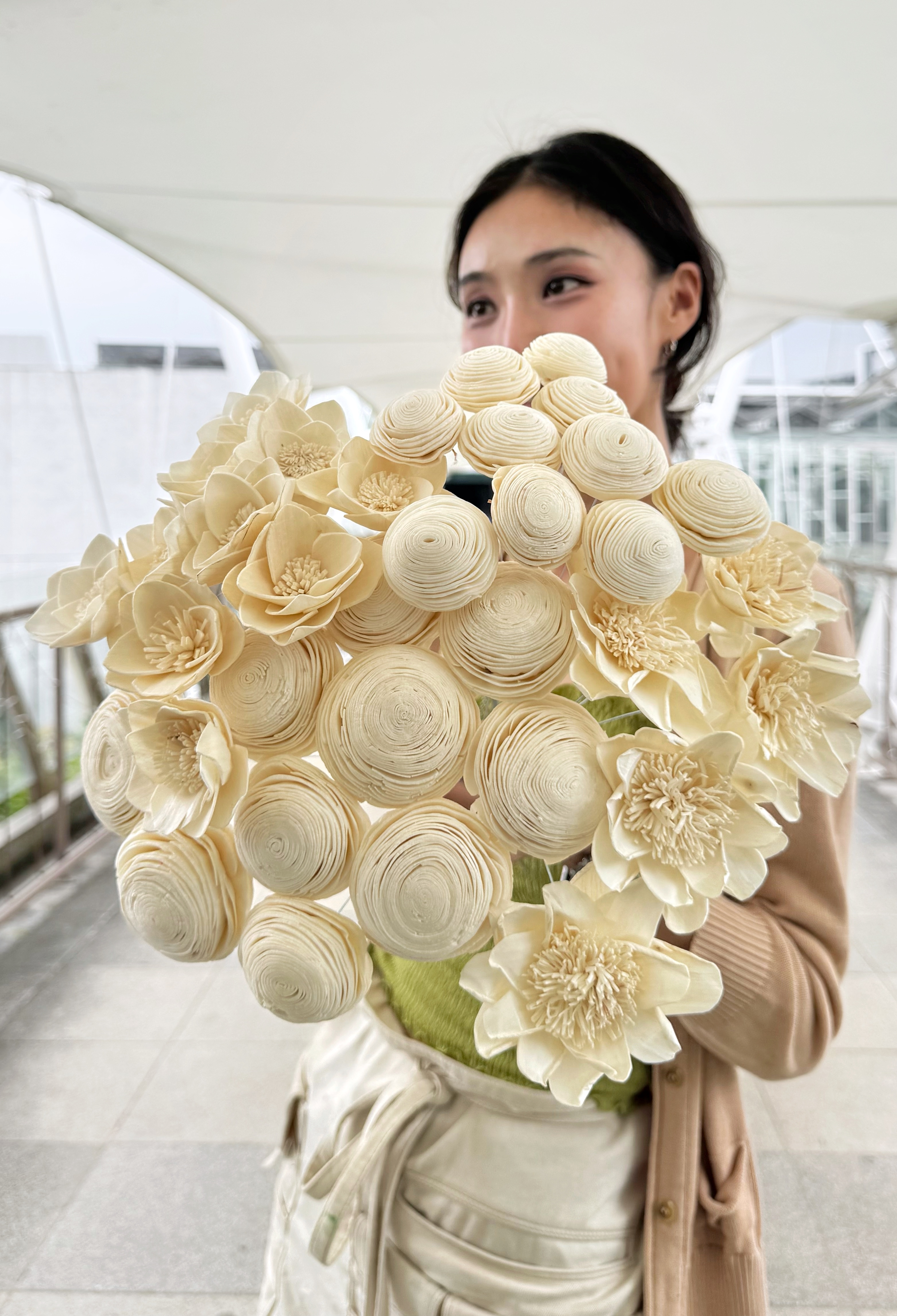 原色索拉（多款）