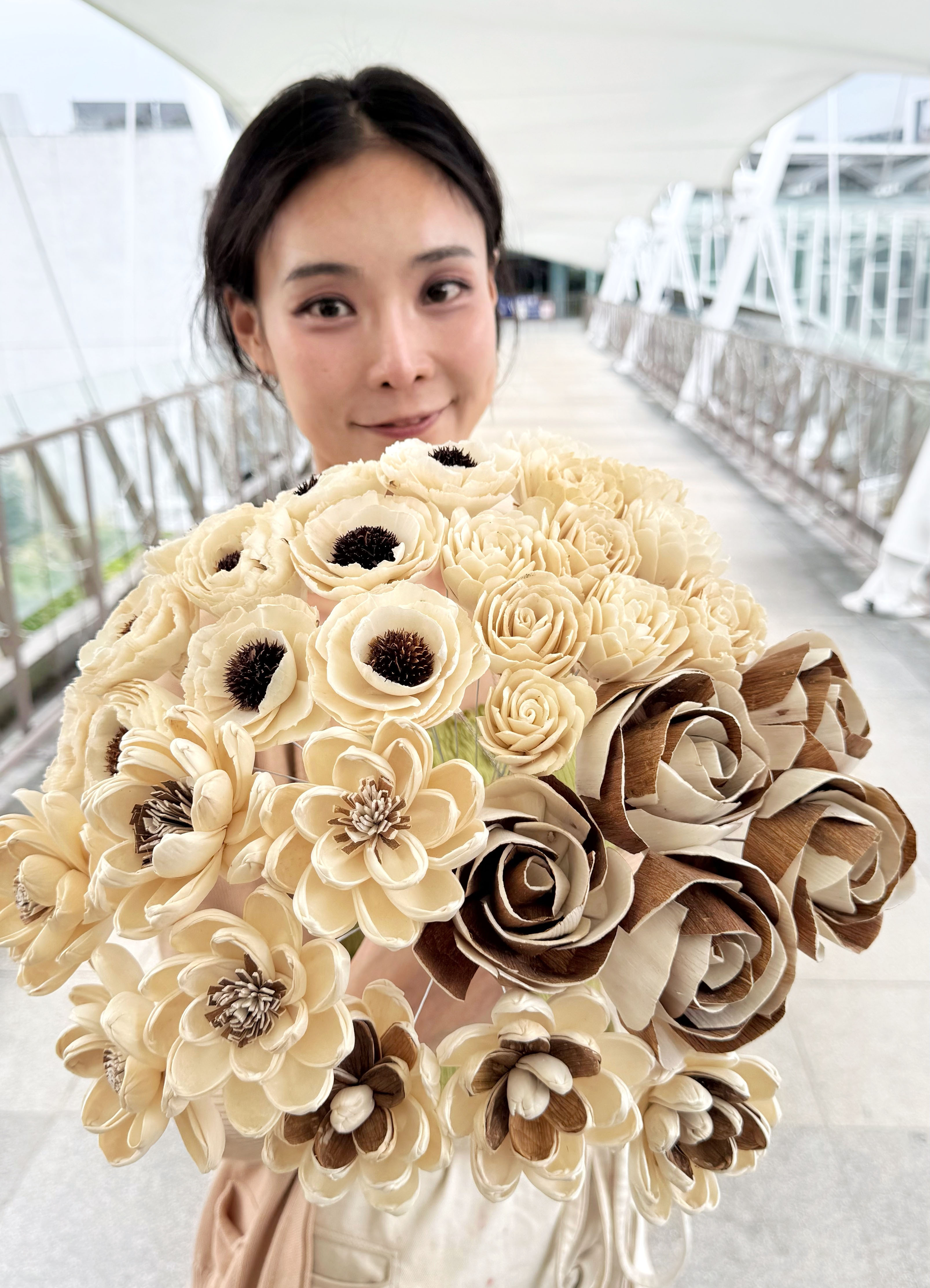 原色索拉（多款）