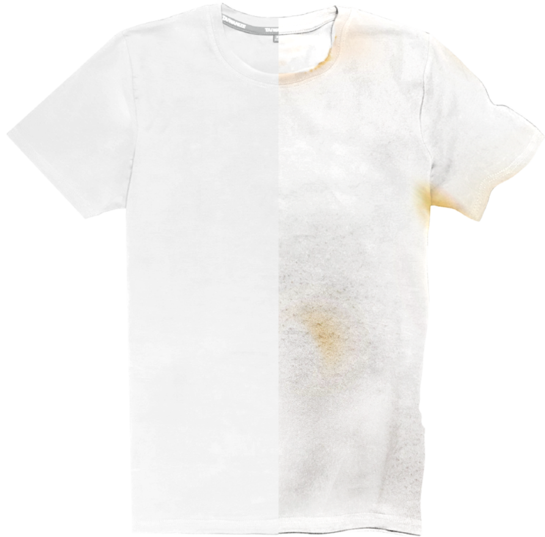 TAIWANIZE Basics 與一般素T比較圖