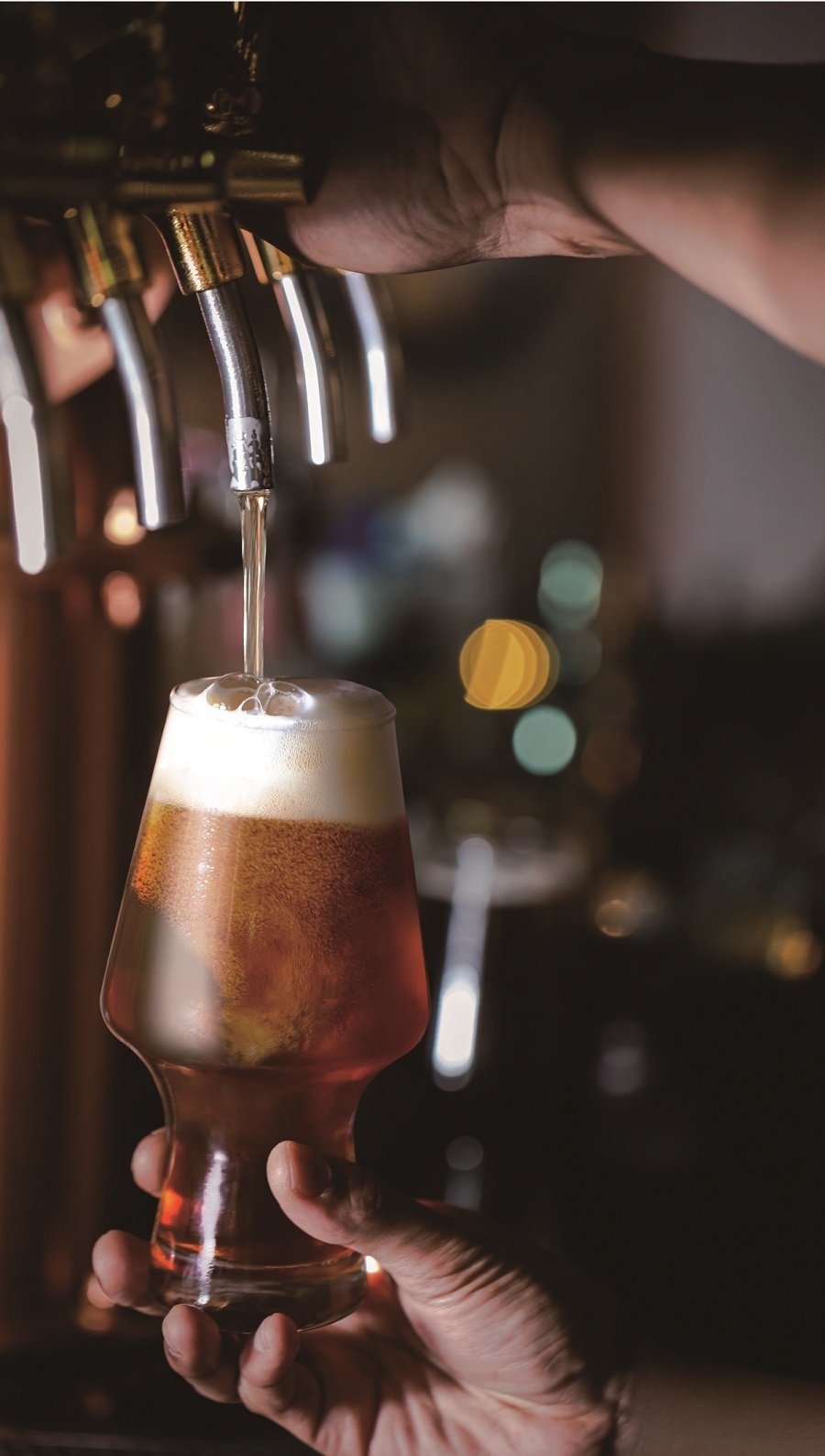 Ocean CRAFT 精釀啤酒杯-565ml