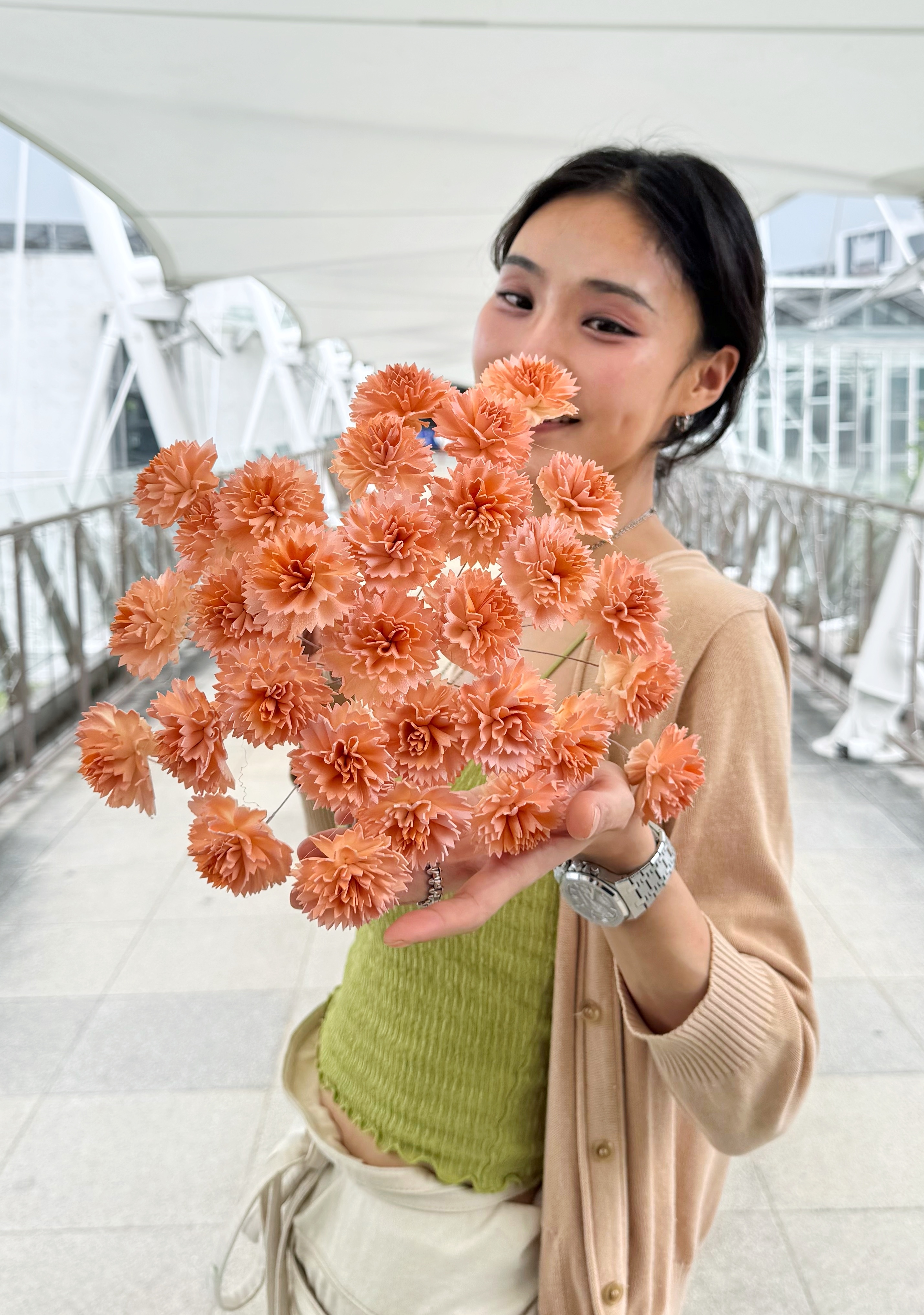 康乃馨索拉