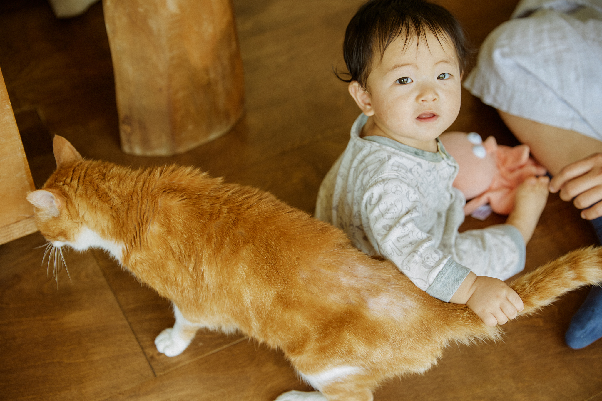 米香和小貓在家中探險