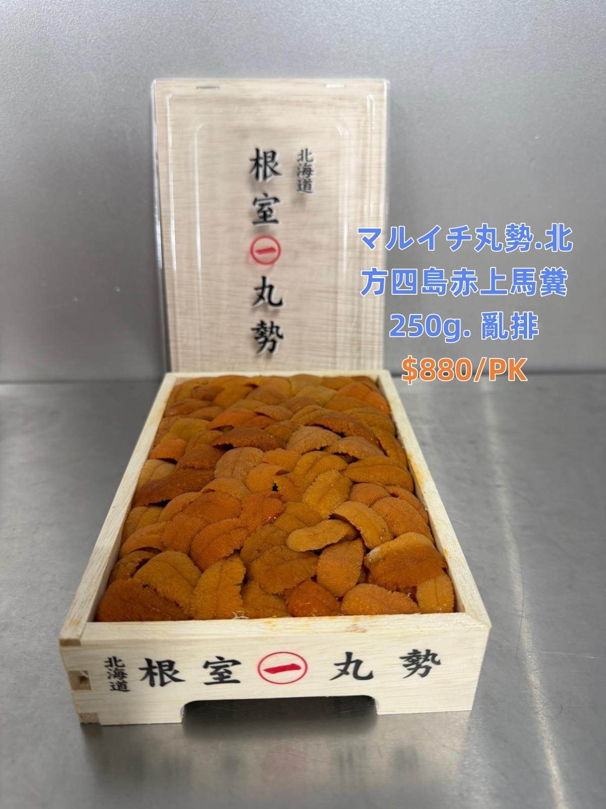 4月28號飛機貨「海胆」推介